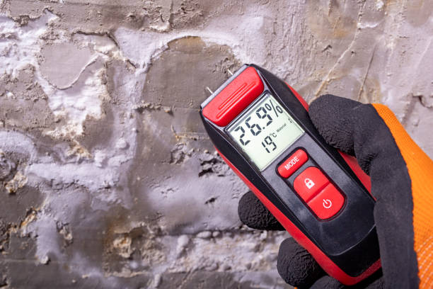 Best Water Damage Restoration  in Ardia, CA