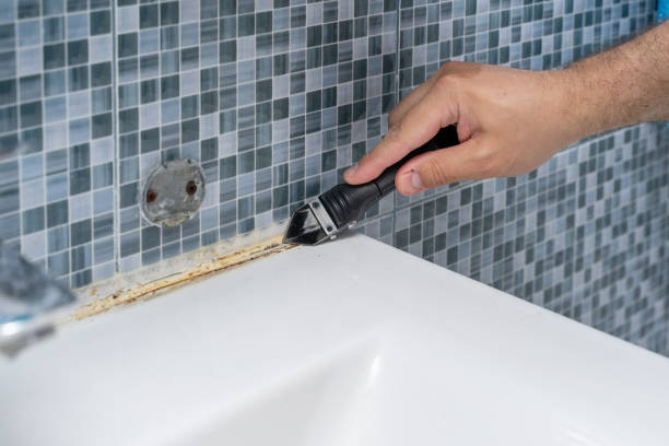 Best Crawl Space Mold Removal  in Ardia, CA